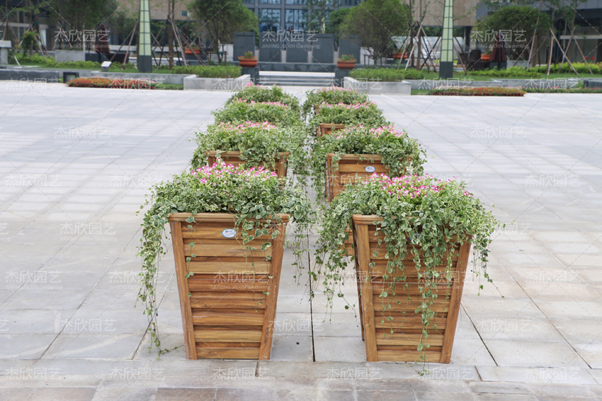 这三种花箱，才能做到免维护，你选对了吗？