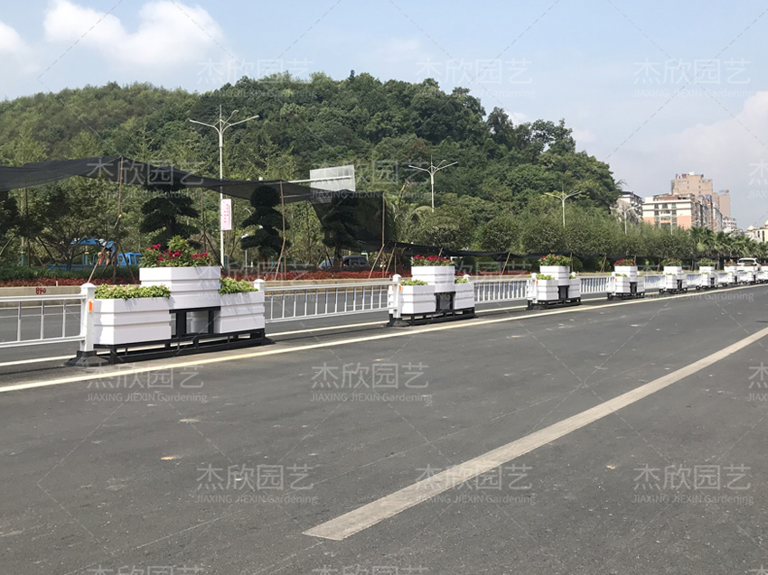 花箱价格，值得好好研究