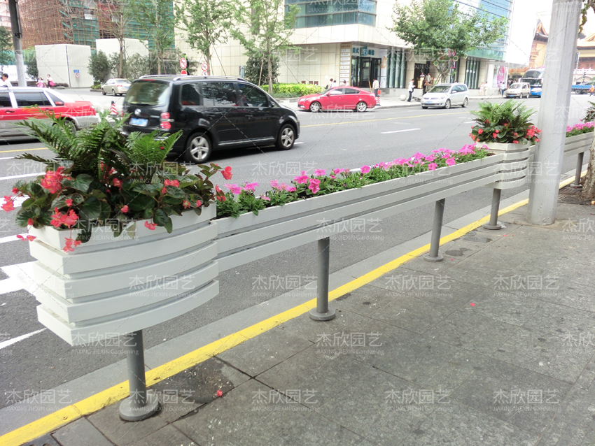 花箱适合种什么植物？